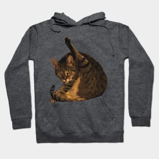 tabby cat funny meme cleaning his butt Hoodie